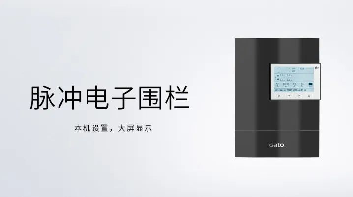 新的一年，廣拓的信心(圖9)