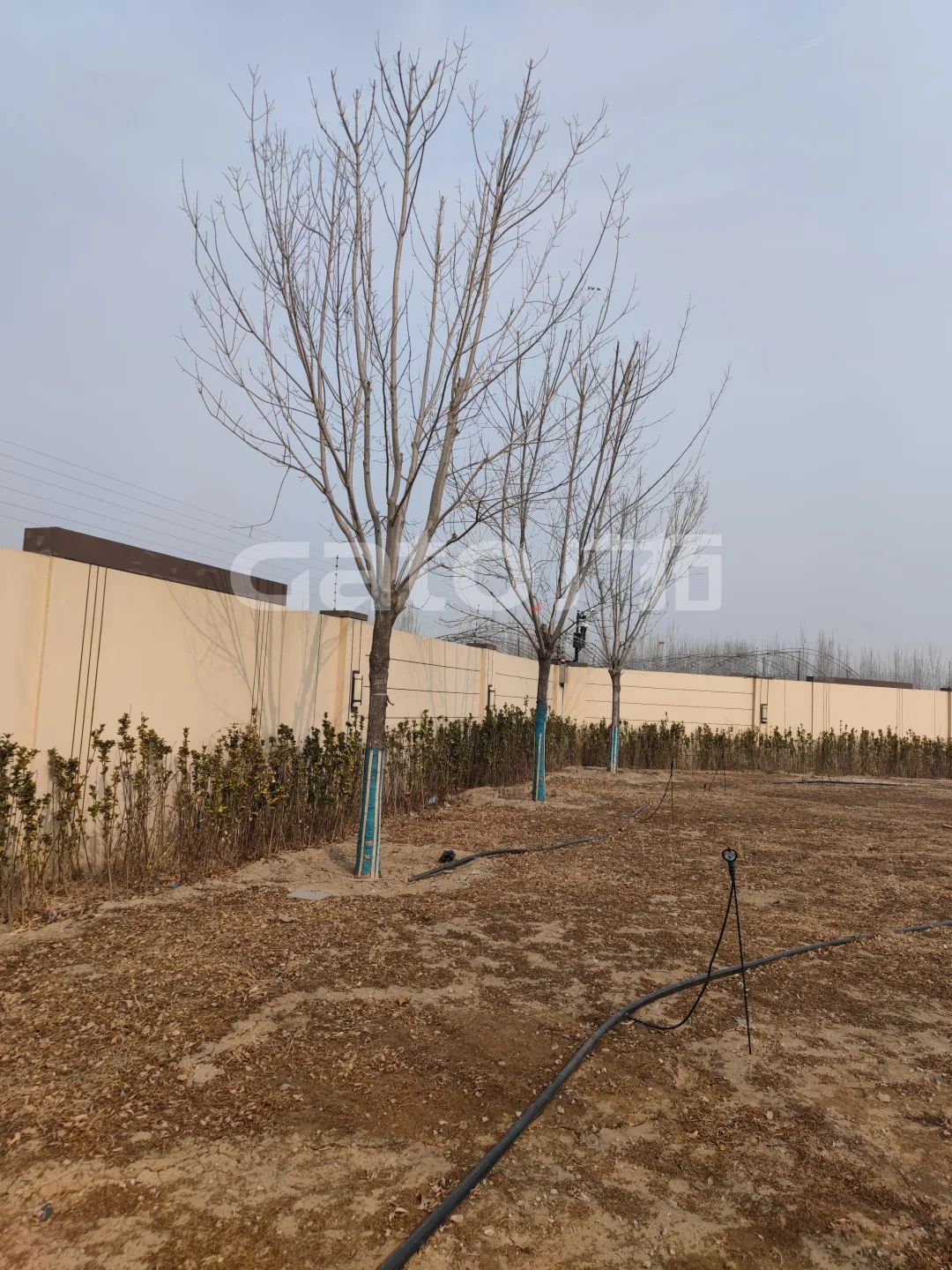 國家建筑節(jié)能技術國際創(chuàng)新園投產(chǎn)，廣拓G5s守護周界安全(圖8)
