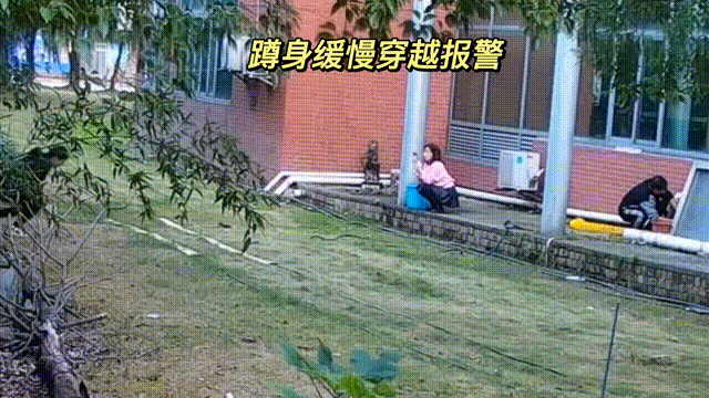 用數(shù)據(jù)說話，風雨小動物不誤報！(圖9)