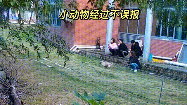 用數(shù)據(jù)說話，風雨小動物不誤報！(圖13)
