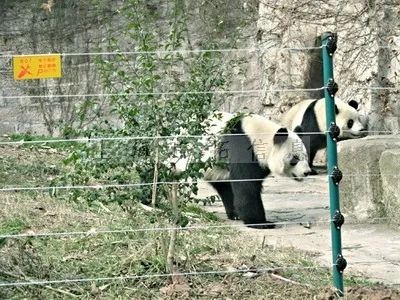 五一出游高峰不必慌，疫情防控神器來幫忙！(圖13)